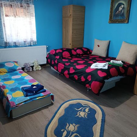 Casa De Vacanta Alina Prundul Birgaului Luaran gambar