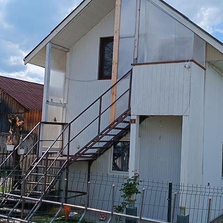 Casa De Vacanta Alina Prundul Birgaului Luaran gambar