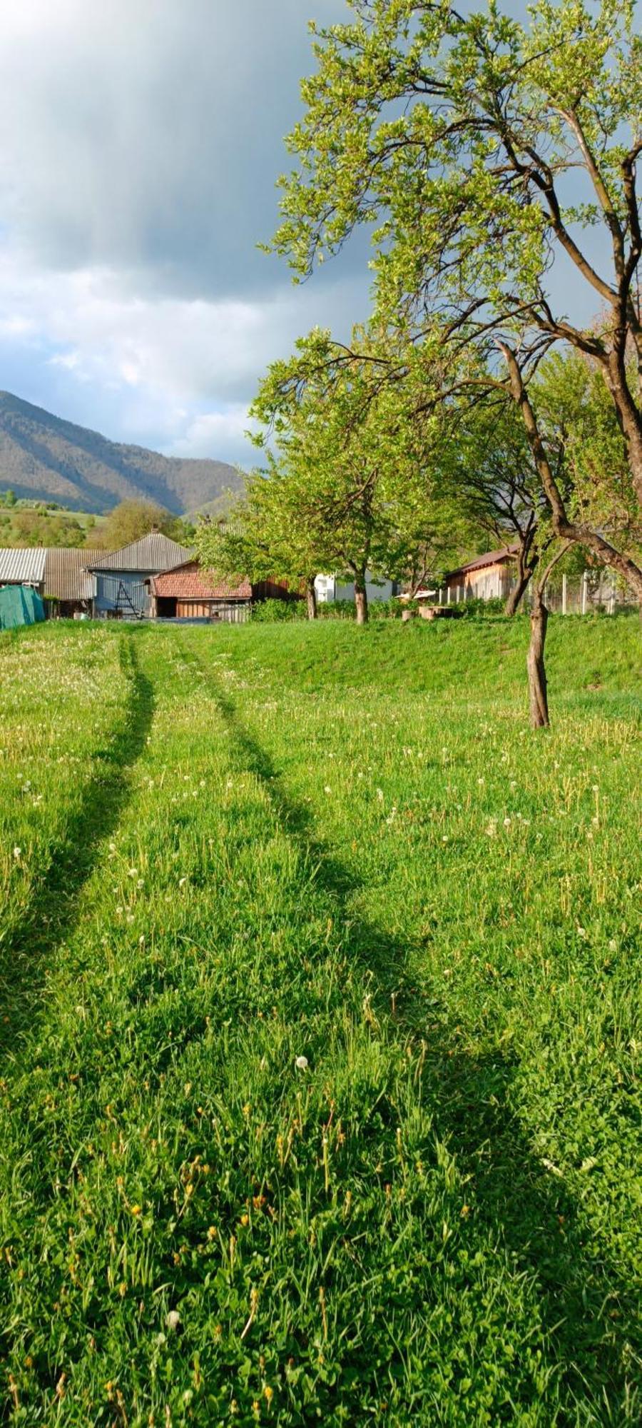 Casa De Vacanta Alina Prundul Birgaului Luaran gambar