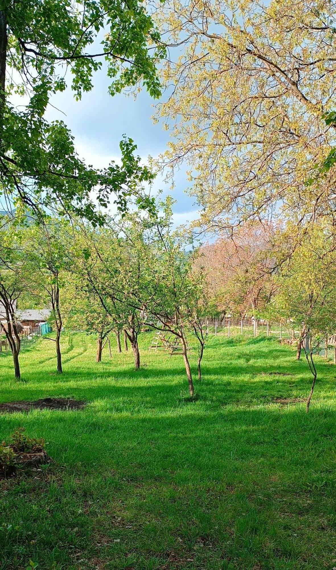 Casa De Vacanta Alina Prundul Birgaului Luaran gambar