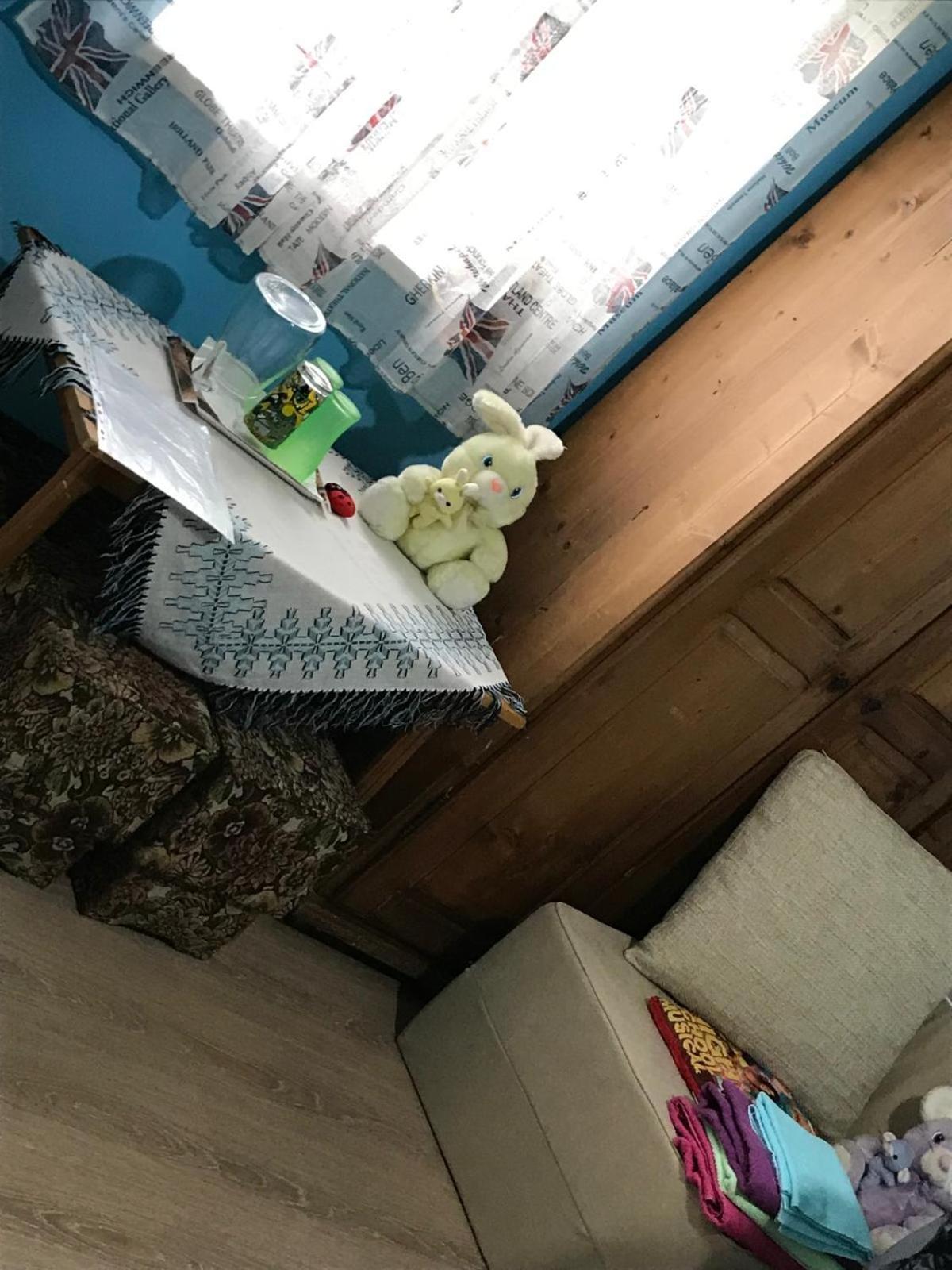 Casa De Vacanta Alina Prundul Birgaului Luaran gambar