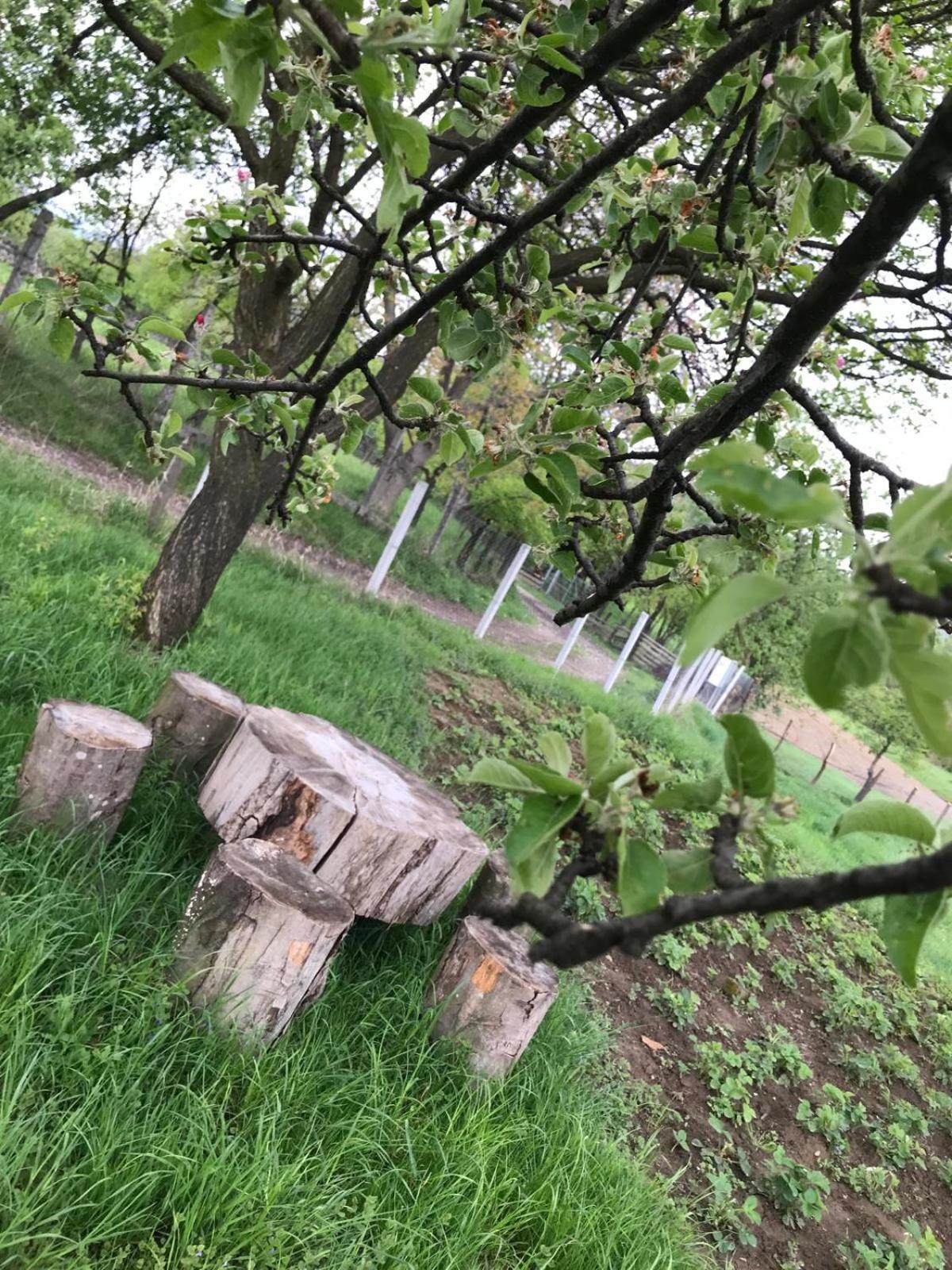 Casa De Vacanta Alina Prundul Birgaului Luaran gambar