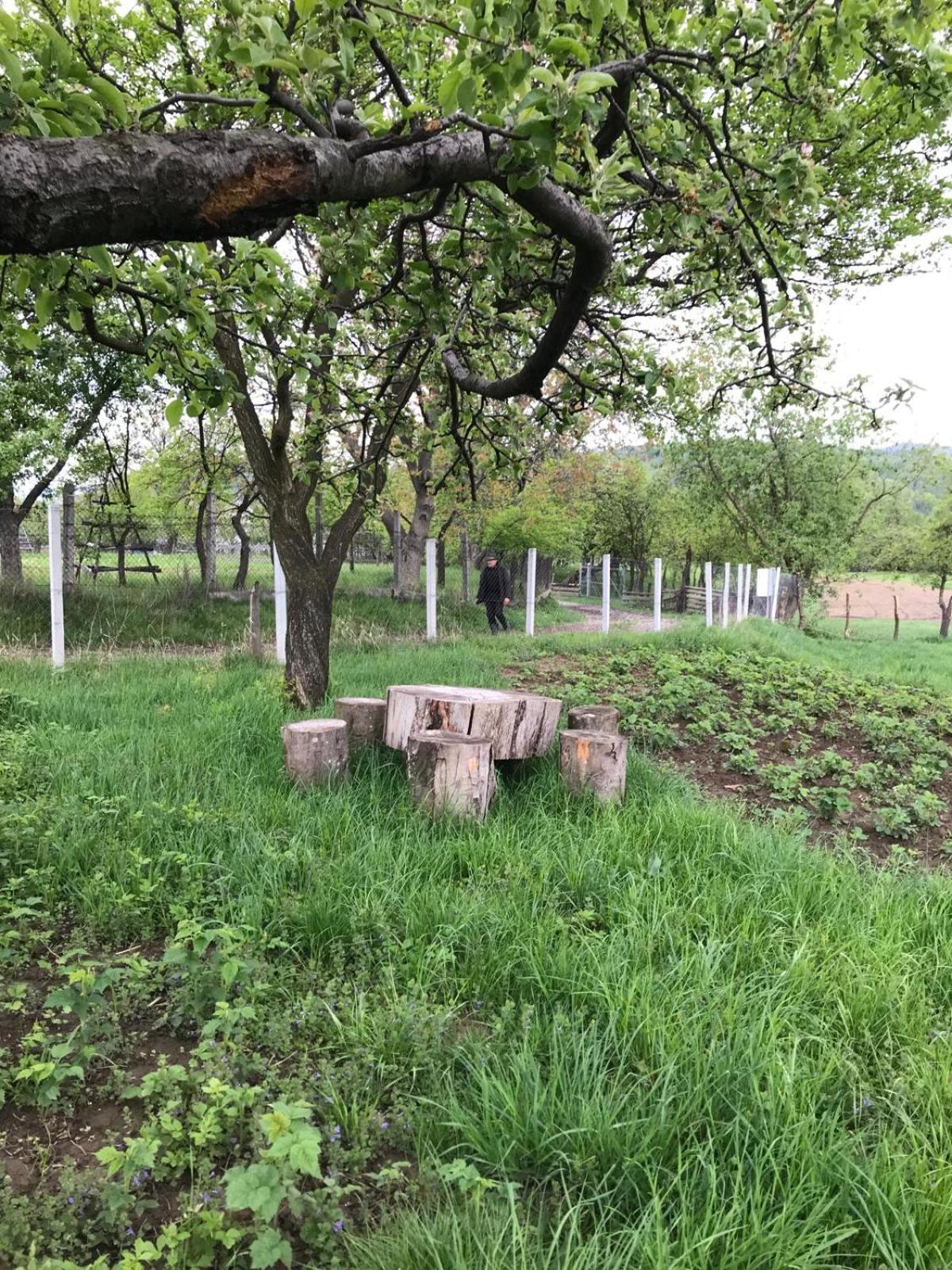 Casa De Vacanta Alina Prundul Birgaului Luaran gambar